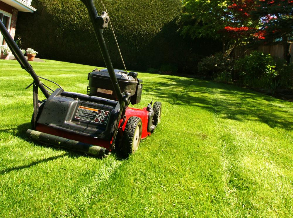 Petits travaux de jardinage